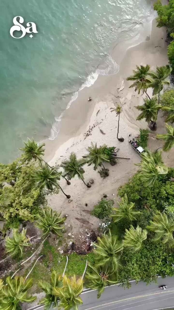 The green landscape and coastline of the Samaná Peninsula